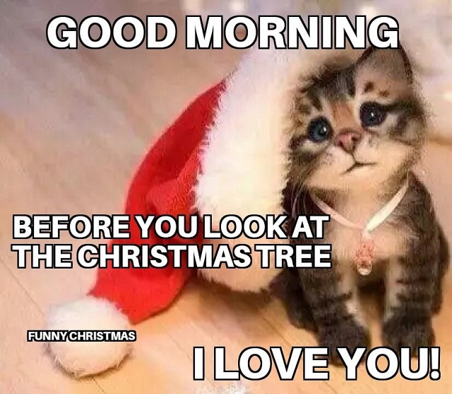 Funny Merry Christmas Pictures
